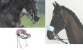 hackamore-kombi.jpg